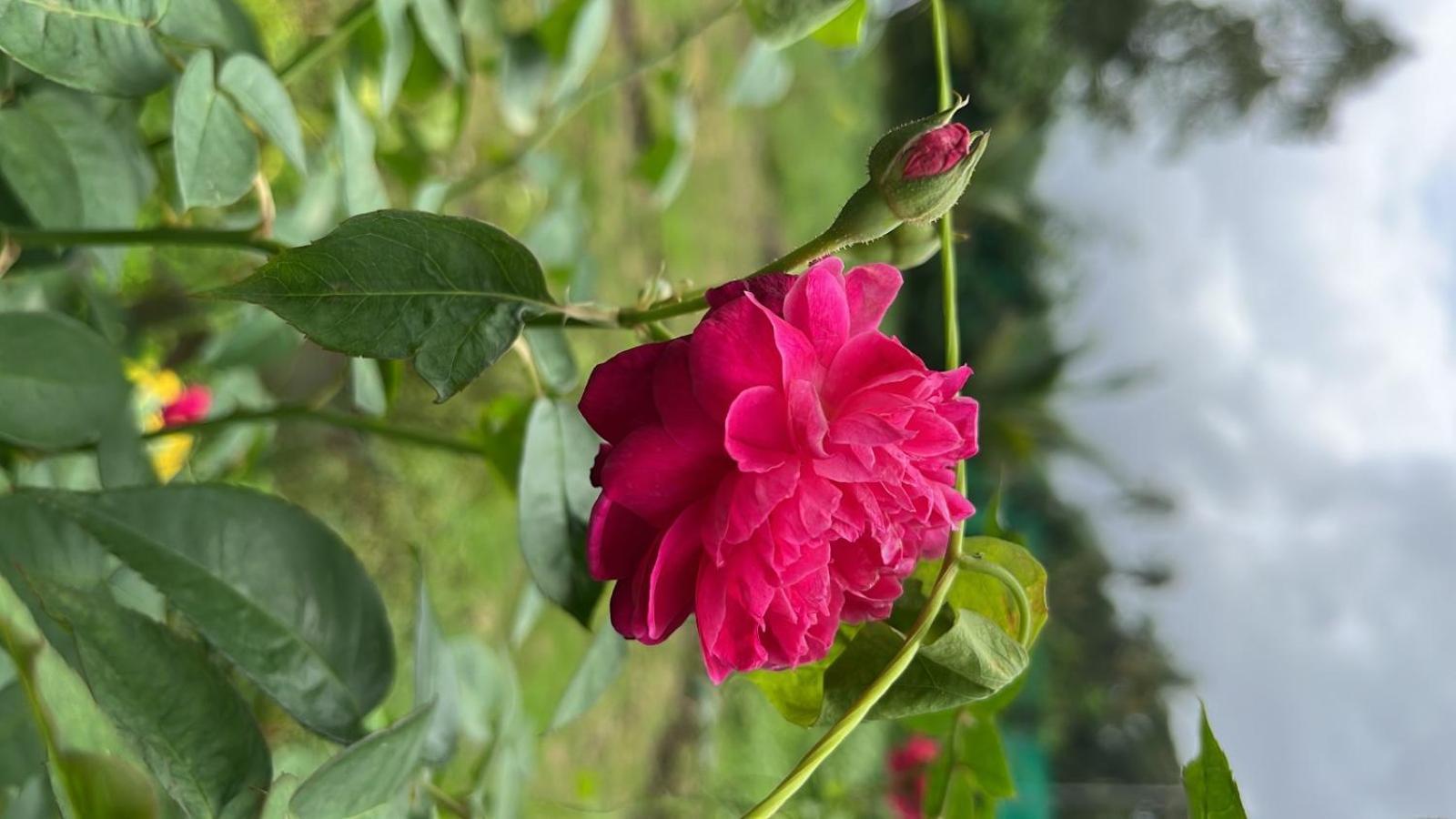 Chaitanya Farms Karjat Bagian luar foto